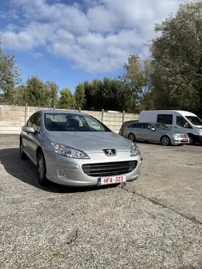 Peugeot 407 SW 1.6 HDi ST Confort FAP