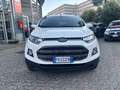 Ford EcoSport 1.0 Ecoboost Titanium 125 CV KM 54000!!!! Bianco - thumbnail 2