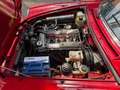 Alfa Romeo Spider Spider 1.6 my90 Rouge - thumbnail 5
