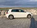 Volkswagen Golf Golf Sport Austria 1,2 TSI | Pickerl bis 1/2027 Weiß - thumbnail 7