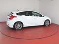 Ford Focus ST-Line 1.6 Eco Boost TÜV bis 08/2027 Bluetooth A Weiß - thumbnail 17