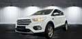 Ford Kuga Trend|SHZ|PDC|1.HAND|34000KM!!!| Weiß - thumbnail 2