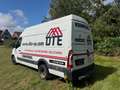 Renault Master Renault Master 2.3 dCi  L3H2 Roues jumelées - Blanc - thumbnail 5