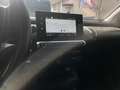 Citroen C4 Cactus PureTech 110 S&S Live tua da €159,00 Grigio - thumbnail 11