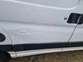Citroen Berlingo 1.9 D X Bianco - thumbnail 11
