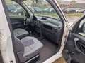 Citroen Berlingo 1.9 D X Bianco - thumbnail 10