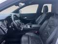 DS Automobiles DS 7 Crossback DS7  E-Tense 300 EAT8 4x4 Be Chic Aut. Marrón - thumbnail 16