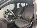Ford Focus 1.5TDCI EcoBlue ST-Line AUT GPS Camera Verw.Zetels Grigio - thumbnail 7