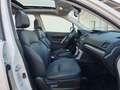 Subaru Forester Platinum Leder Panorama 4x4 Xenon Weiß - thumbnail 12