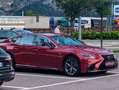Lexus LS 500 LS 500 AWD F SPORT mit Garantie, Finanz. 5,29%!! Rouge - thumbnail 12