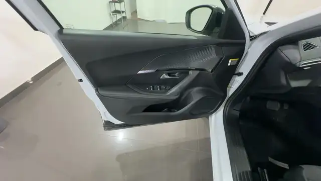 Peugeot 2008 view 10
