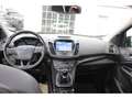 Ford Kuga TITANIUM ALLRAD, NAVI, PDC, AHK, BEH. WSS & SITZE Verde - thumbnail 11