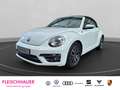 Volkswagen Beetle Cabriolet Sound 1.4 TSI Navi Bi-Xenon 3-Zonen-Klim Weiß - thumbnail 1