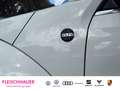 Volkswagen Beetle Cabriolet Sound 1.4 TSI Navi Bi-Xenon 3-Zonen-Klim Weiß - thumbnail 17