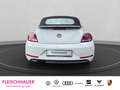 Volkswagen Beetle Cabriolet Sound 1.4 TSI Navi Bi-Xenon 3-Zonen-Klim Weiß - thumbnail 5