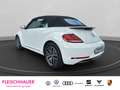 Volkswagen Beetle Cabriolet Sound 1.4 TSI Navi Bi-Xenon 3-Zonen-Klim Weiß - thumbnail 4