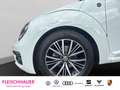 Volkswagen Beetle Cabriolet Sound 1.4 TSI Navi Bi-Xenon 3-Zonen-Klim Weiß - thumbnail 15