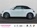Volkswagen Beetle Cabriolet Sound 1.4 TSI Navi Bi-Xenon 3-Zonen-Klim Weiß - thumbnail 3