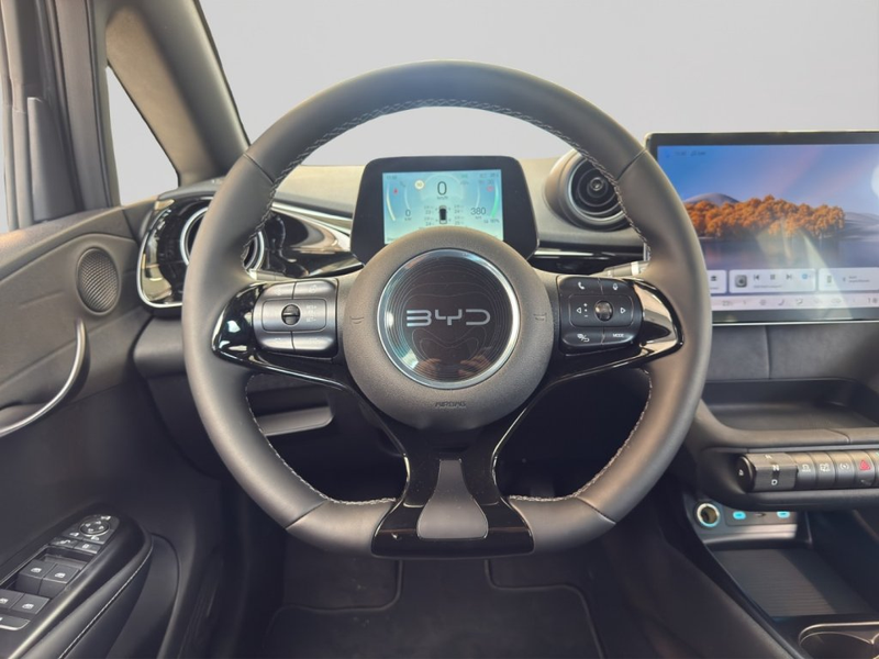 BYD Dolphin Comfort MY2025 — photo 8