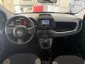 Fiat Panda Panda III 2021 1.0 firefly hybrid City Life s Bianco - thumbnail 8