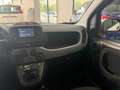 Fiat Panda Panda III 2021 1.0 firefly hybrid City Life s Bianco - thumbnail 10