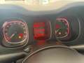 Fiat Panda Panda III 2021 1.0 firefly hybrid City Life s Bianco - thumbnail 11