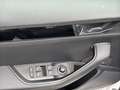 Skoda Superb Combi 2.0 TDI DSG L&K PANO KLIMASITZE STH Weiß - thumbnail 8
