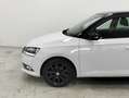 Skoda Fabia 1.0 MPI 75 CV Twin Color Nero Bianco - thumbnail 9