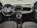 Fiat Panda 1.0i MHEV City Life CLIM / PDC AR Zwart - thumbnail 8