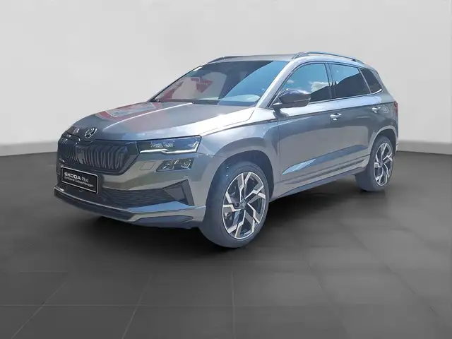 Skoda Karoq view 2