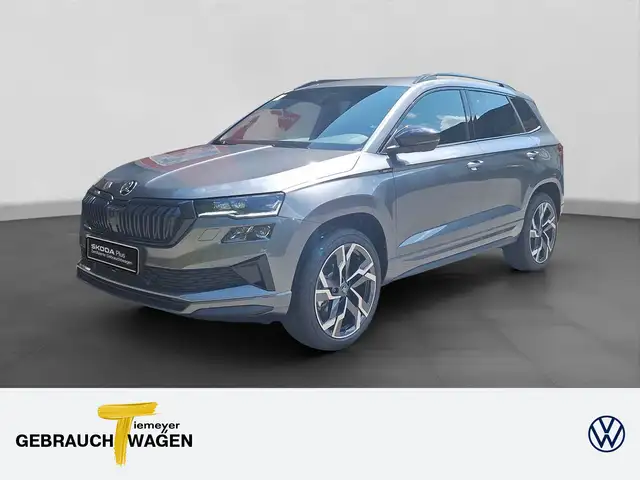 Skoda Karoq main image