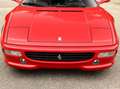 Ferrari F355 GTB 6 speed Rot - thumbnail 6