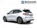 Ford Kuga ST-Line 2,0 Eblue 120PS A8 AWD Weiß - thumbnail 4