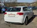 Audi A3 2.0 TDI Attraction (103kW) Weiß - thumbnail 7