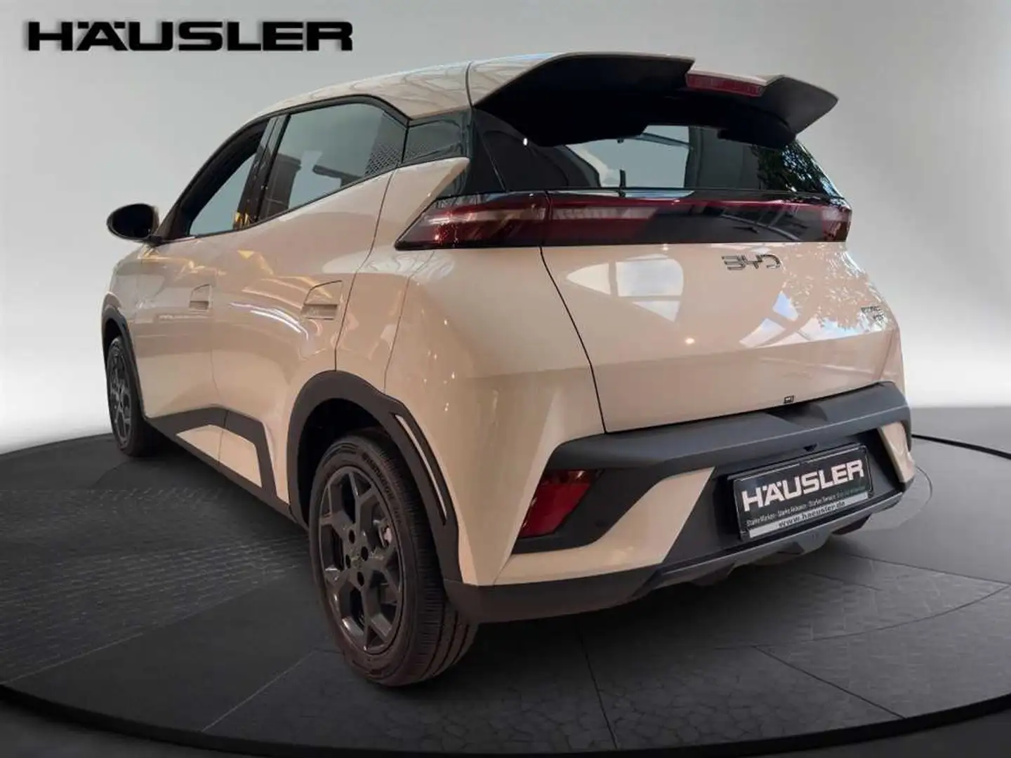 BYD Dolphin Boost CarPlay Klima Navi Leder Белый - 2