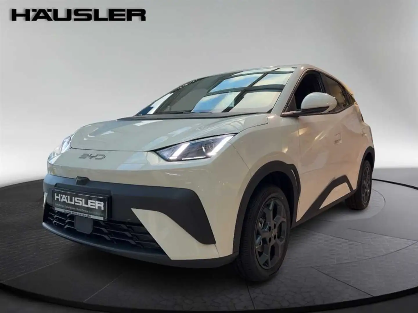 BYD Dolphin Boost CarPlay Klima Navi Leder Белый - 1