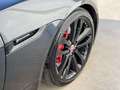 Jaguar F-Type 2.0 i4 R-Dynamic Gris - thumbnail 11