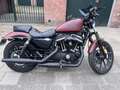 Harley-Davidson Iron 883 Rojo - thumbnail 9
