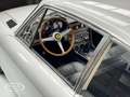 Ferrari 365 GT 2+2  - ONLINE AUCTION Gris - thumbnail 39