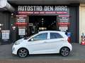 Kia Picanto 1.2 CVVT DynamicLine Automaat Airco PDC Wit - thumbnail 5