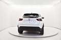Nissan Juke 1.0 dig-t N-Sport 114cv Bianco - thumbnail 4