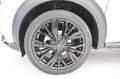Nissan Juke 1.0 dig-t N-Sport 114cv Bianco - thumbnail 6