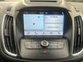 Ford C-Max Ford C-MAX 1.5 TDCi Business aut 120 cv Grigio - thumbnail 12