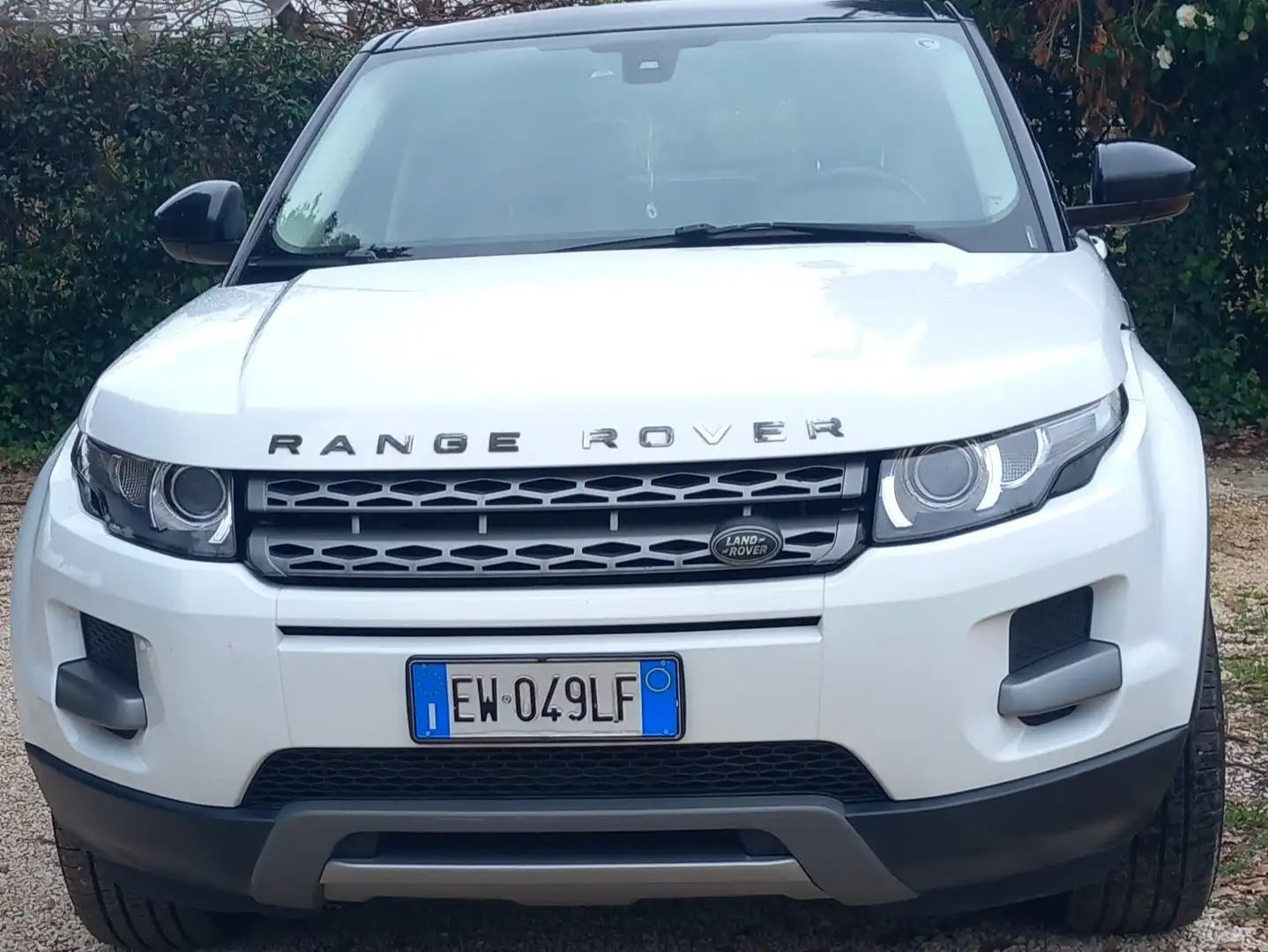 Land Rover Range Rover Evoque Range Rover Evoque I 2011 5p 2.2 td4 Pure 150cv Bianco - 1