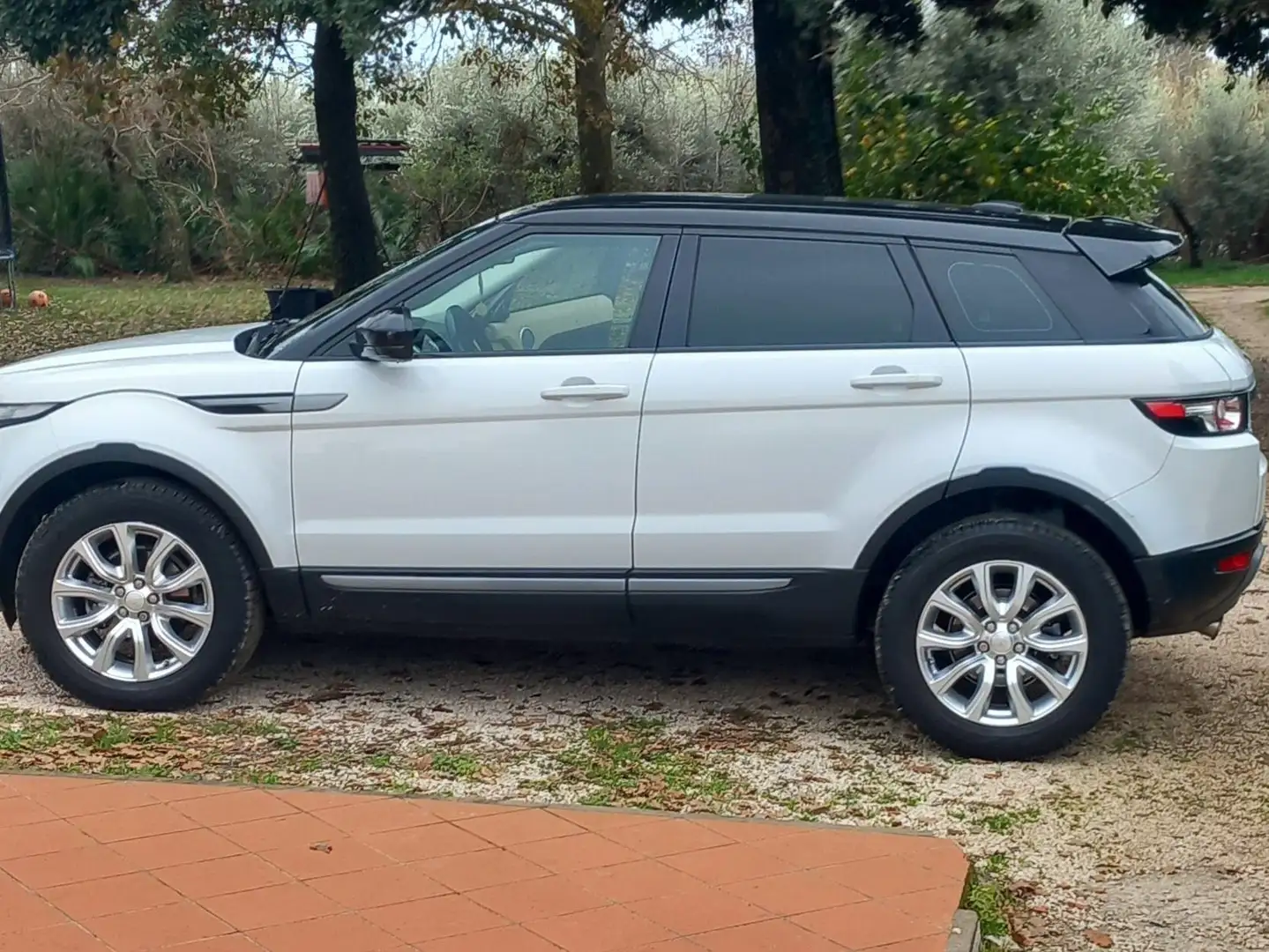 Land Rover Range Rover Evoque Range Rover Evoque I 2011 5p 2.2 td4 Pure 150cv Bianco - 2