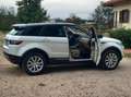 Land Rover Range Rover Evoque Range Rover Evoque I 2011 5p 2.2 td4 Pure 150cv Bianco - thumbnail 3