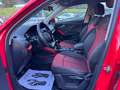 Audi Q2 Q2 30 1.6 tdi Business Design GARANZIA 1 ANNO Rot - thumbnail 8