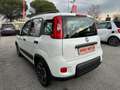 Fiat Panda 1.0 FireFly Hybrid City Life, CARPLAY, DISPLAY DA Bianco - thumbnail 7