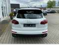 Porsche Cayenne Cayenne S Hybrid Tiptronic S Weiß - thumbnail 6