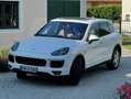 Porsche Cayenne Cayenne S Hybrid Tiptronic S Weiß - thumbnail 1